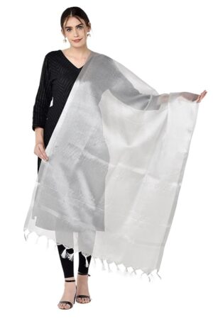 DUPATTA BAZAAR Women Embellished Tissue Silk Dupatta