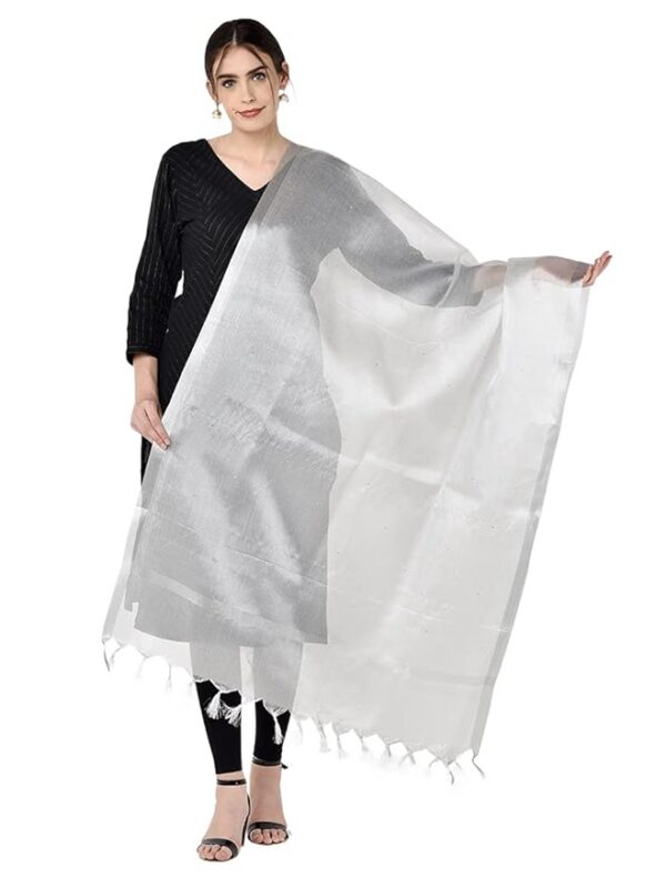 DUPATTA BAZAAR Women Embellished Tissue Silk Dupatta